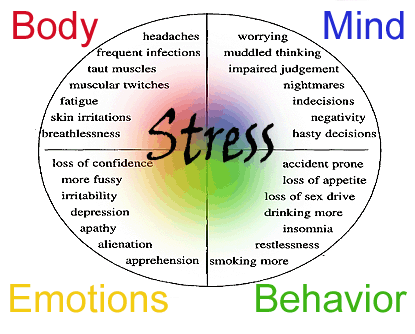 Symptoms of workplace stress, Stress in Organizations | Boundless Management