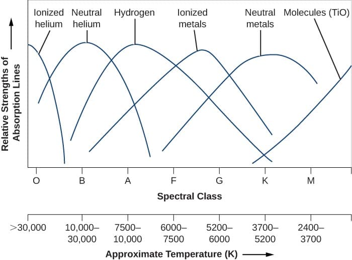 Temperature effects on absorption lines, The Spectra of Stars (and Brown Dwarfs) | Astronomy