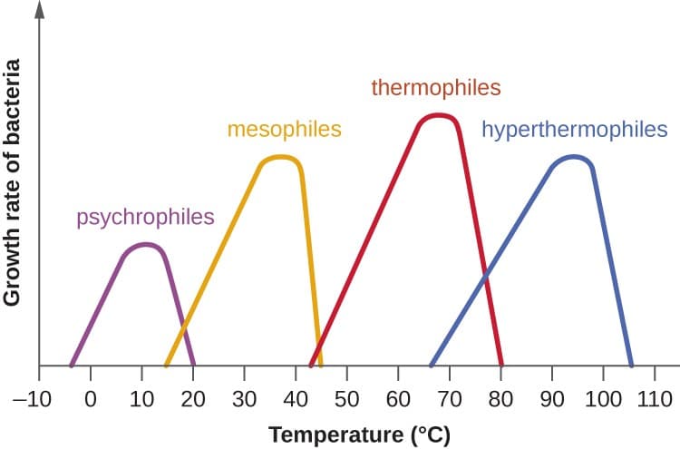 Temperature effects on microbial growth, Temperature and Microbial Growth | Microbiology