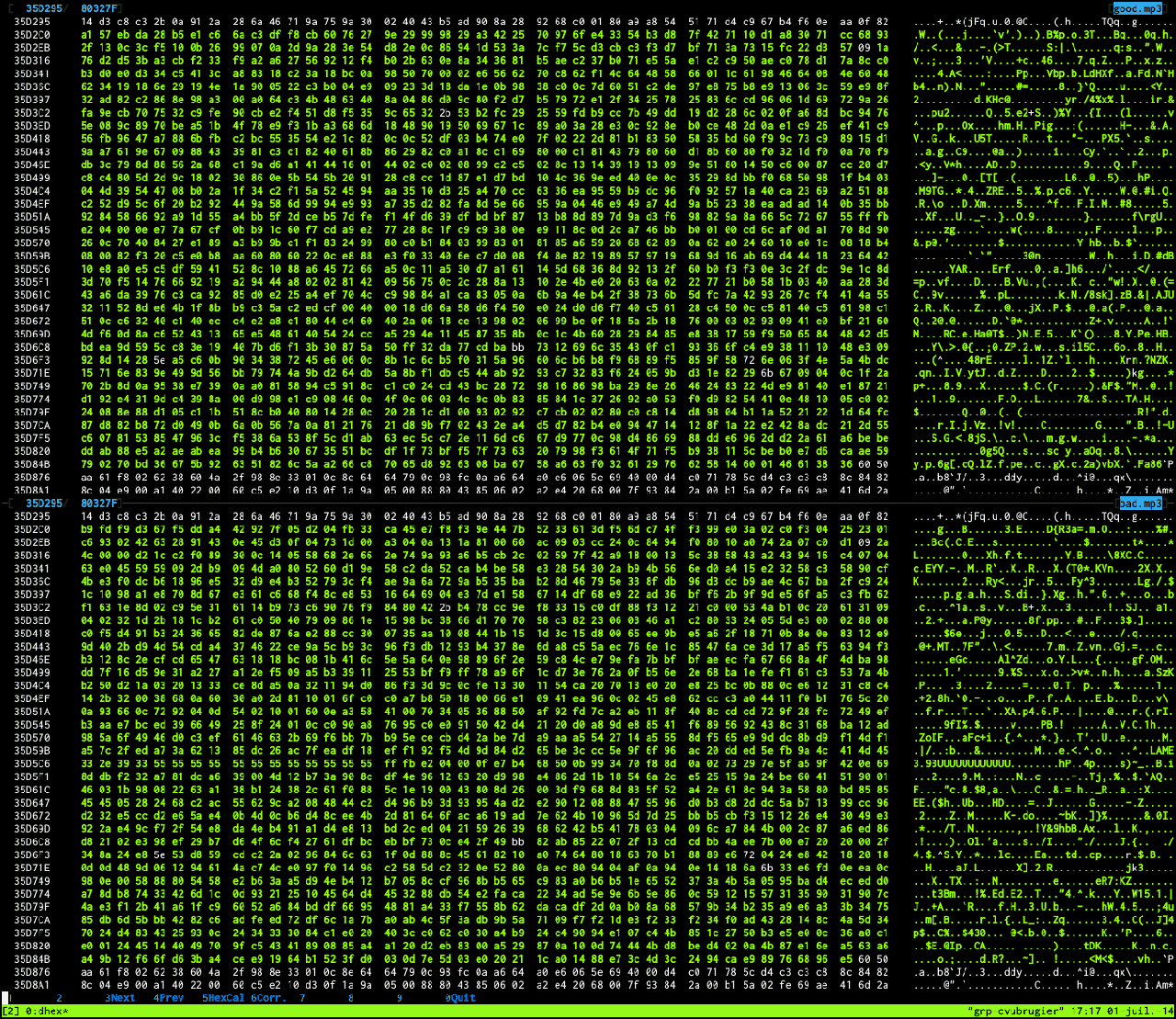 Text vs Binary Files, Compare binary files | Enodev.fr / Christophe's log