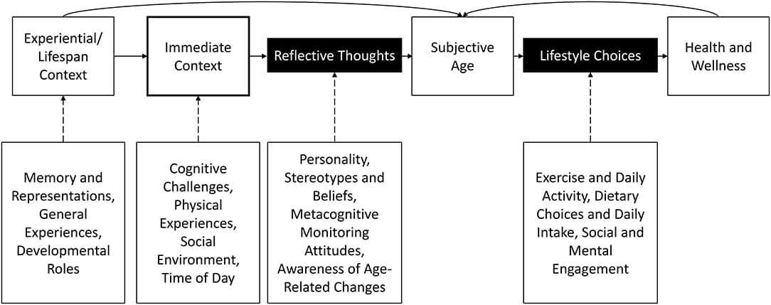 Theories Explaining Social Relationships in Late Adulthood, Frontiers | Aging in Context: Incorporating Everyday Experiences Into the Study of Subjective Age