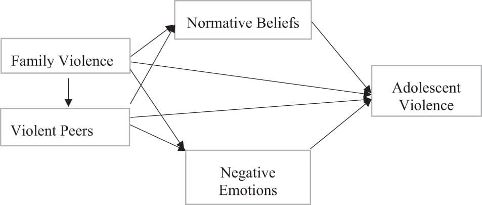 Theories of violent behavior, Frontiers | Pathways From Family Violence to Adolescent Violence: Examining the Mediating Mechanisms