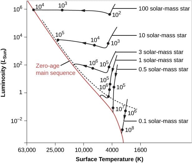 Thermodynamics of stellar evolution, 21.2 The H–R Diagram and the Study of Stellar Evolution | Astronomy