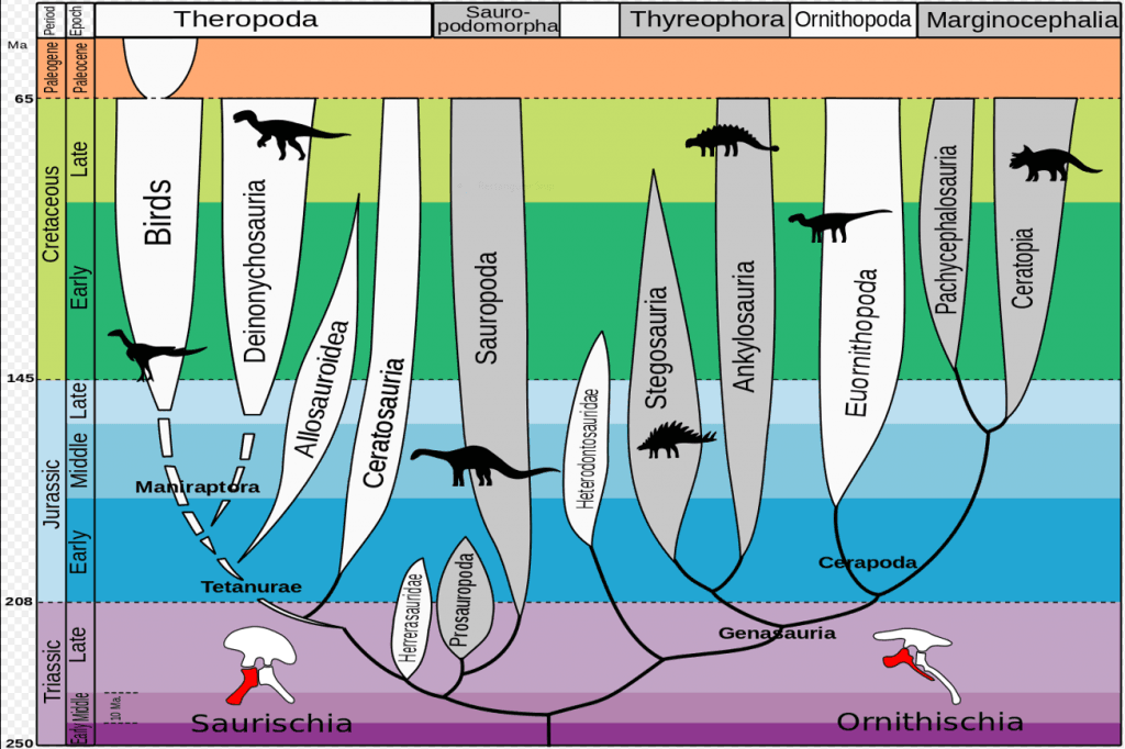 Theropod dinosaur ancestors, paleontology Archives - Universe Today
