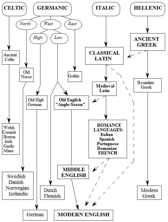 Transition from Classical Latin, §4. The Indo-European Family of Languages – Greek and Latin Roots: Part I – Latin