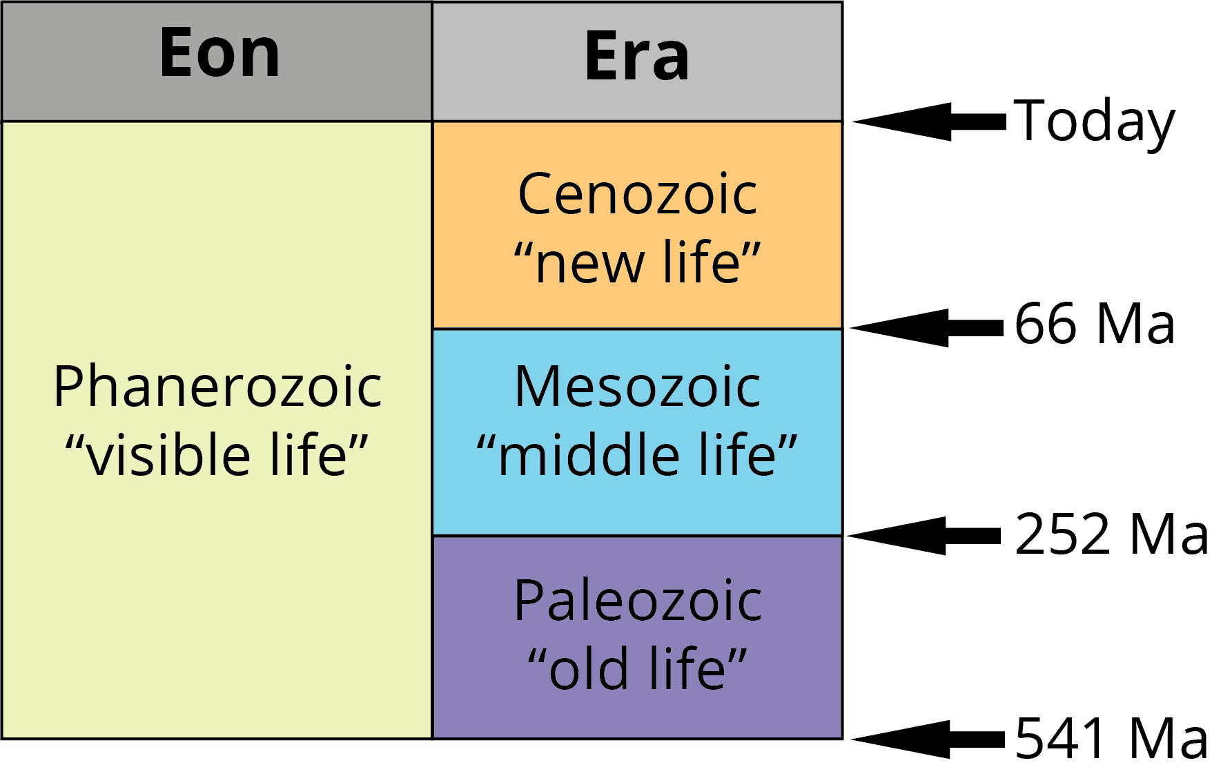 Transition from Mesozoic, 2.3 Geological time scale | Digital Atlas of Ancient Life