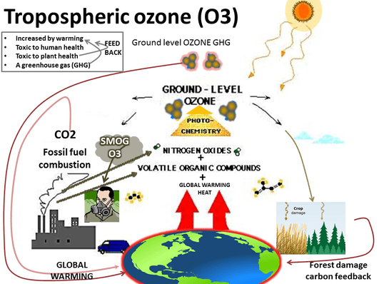 Tropospheric ozone and particulate matter, ESS Topic 6.3: Photochemical Smog - AMAZING WORLD OF SCIENCE WITH MR. GREEN