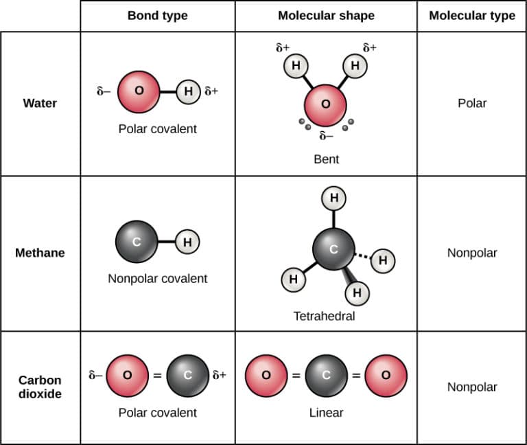 Types and Characteristics of Chemical Bonds, Covalent Bonds | Biology for Non-Majors I