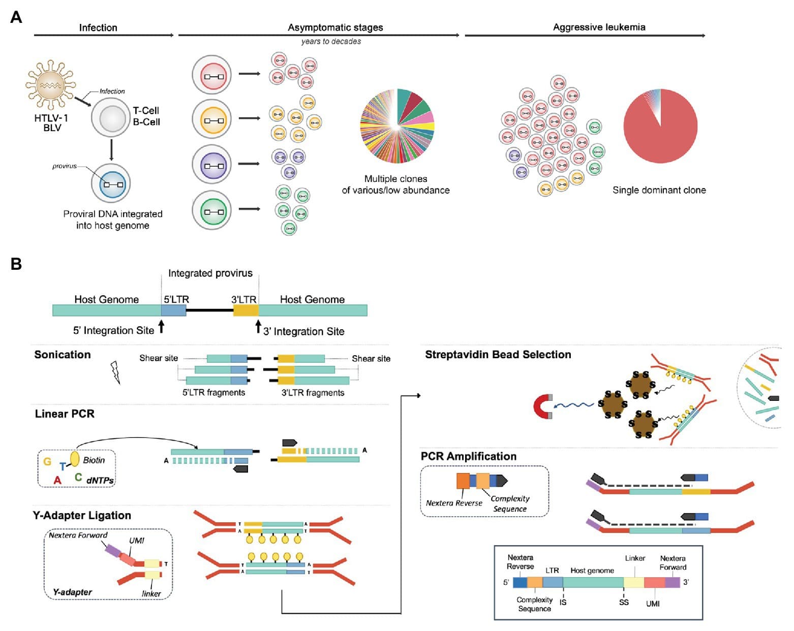 Types of biological databases, Frontiers | An Improved Sequencing-Based Bioinformatics Pipeline to Track the Distribution and ...