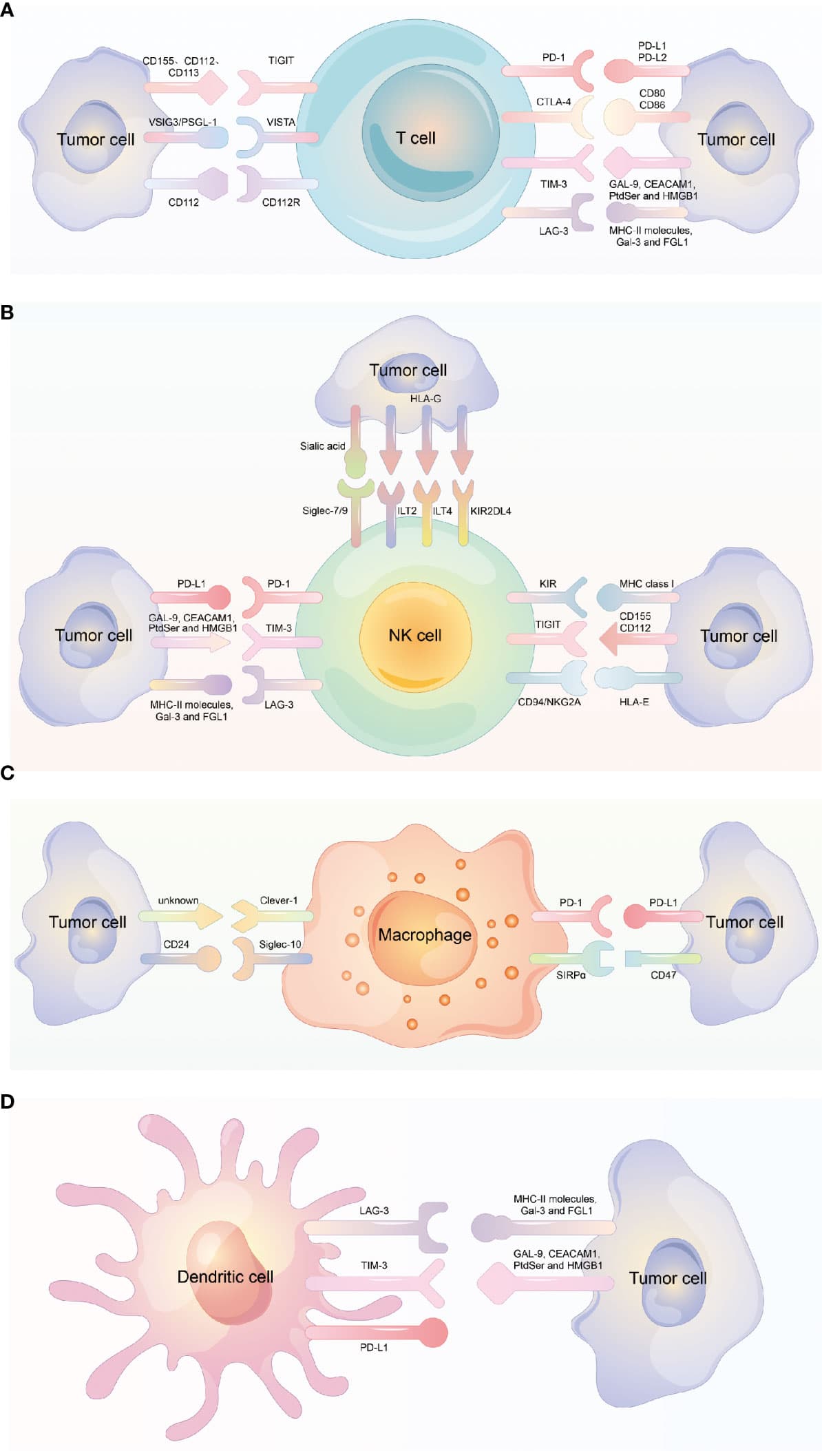 Types of cancer immunotherapies, Frontiers | Diversity of immune checkpoints in cancer immunotherapy