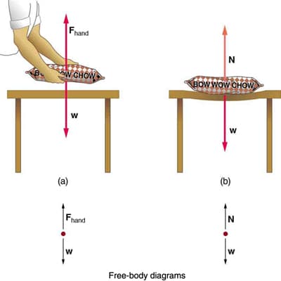 Types of contact forces, Normal, Tension, and Other Examples of Forces | Physics