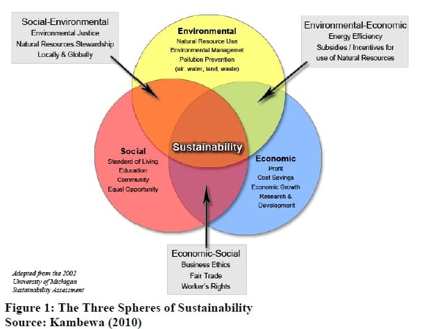 Types of economic mobility, The transfer of intergenerational family knowledge for sustainable commercial farming in ...