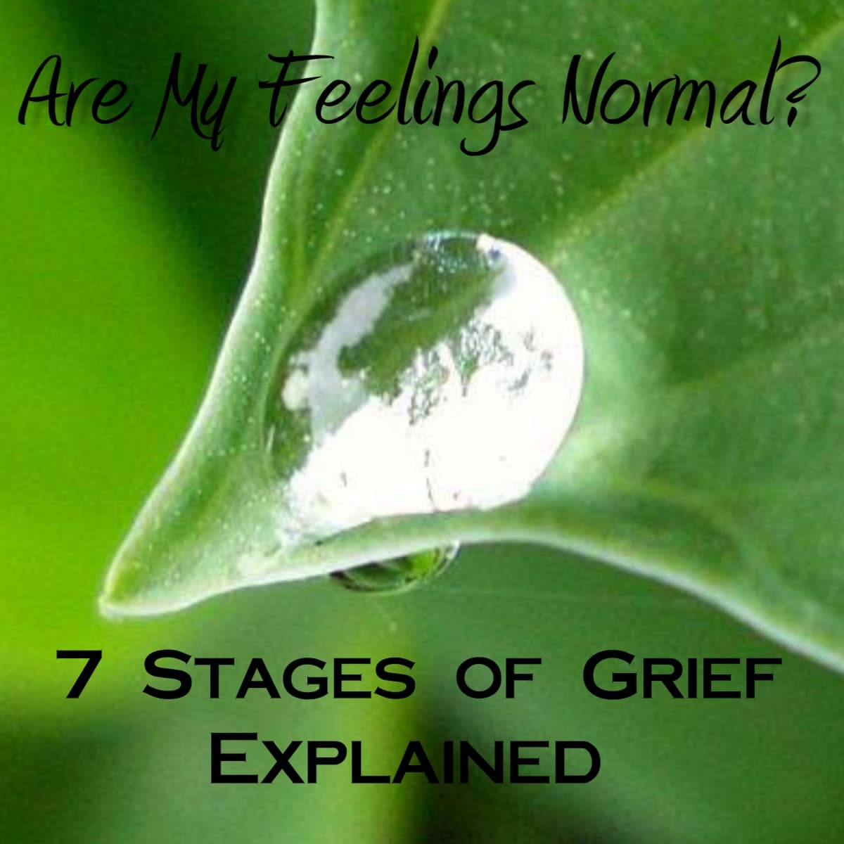 Types of Grief, Life Spot: SEVEN STAGES OF GRIEF EXPLAINED. WHAT YOU ARE FEELING IS NORMAL. YOU ARE NOT ALONE ...