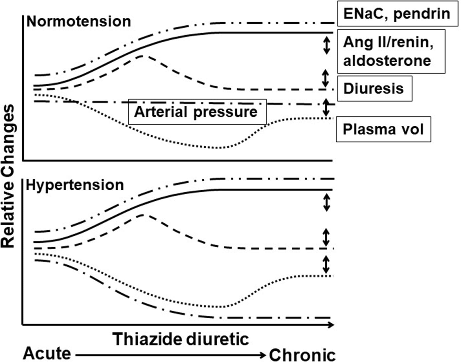 Types of hypertension diuretics, Frontiers | Mechanism of Thiazide Diuretic Arterial Pressure Reduction: The Search Continues