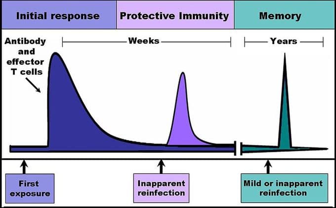 Types of immunity, Overview of Immunity | Boundless Microbiology
