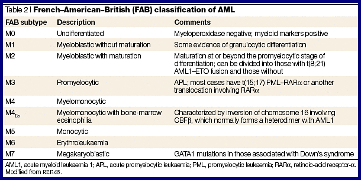 Types of leukemia, AML-Classification | Ask Hematologist | Understand Hematology