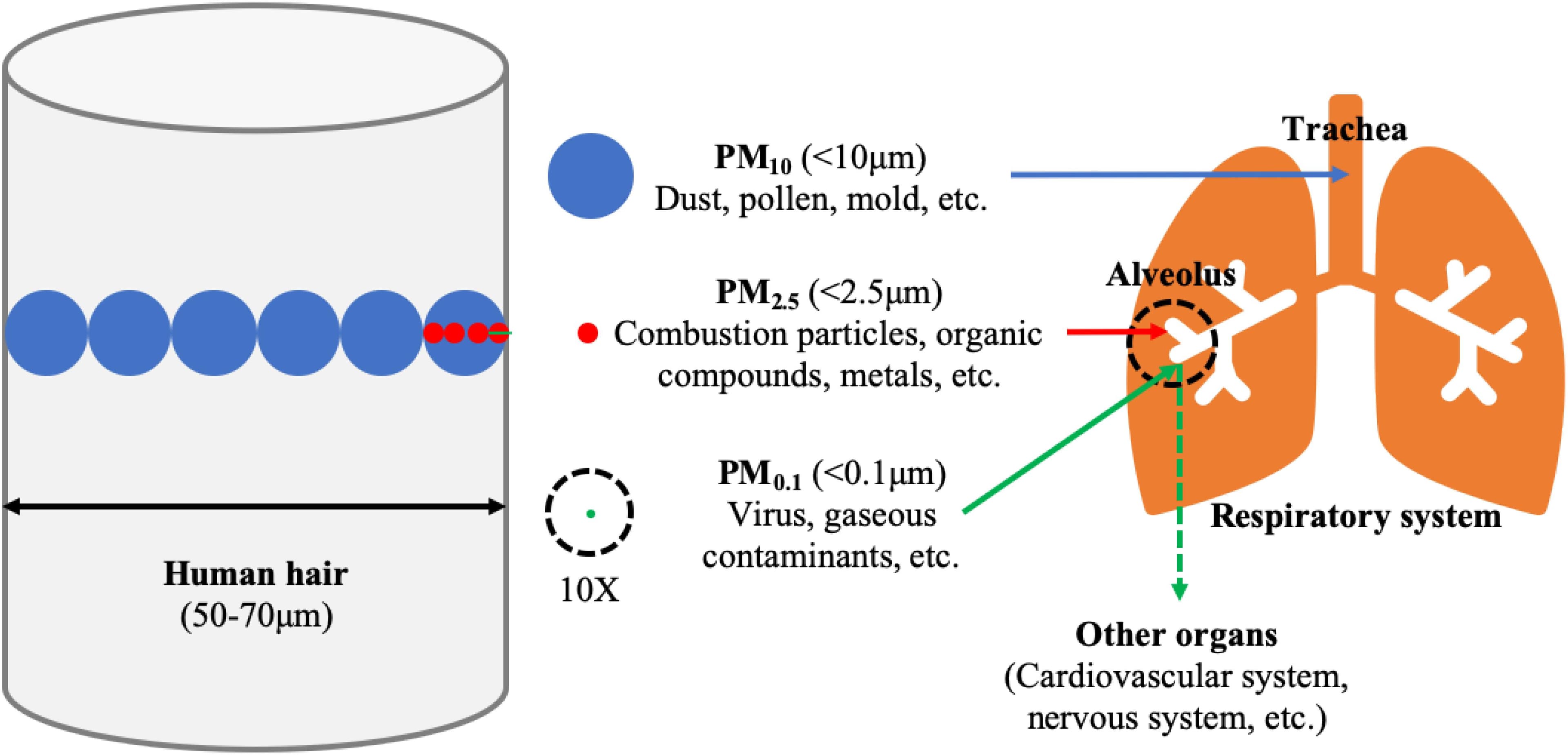 Types of Particulate Matter, Frontiers | The Impact of PM2.5 on the Host Defense of Respiratory System