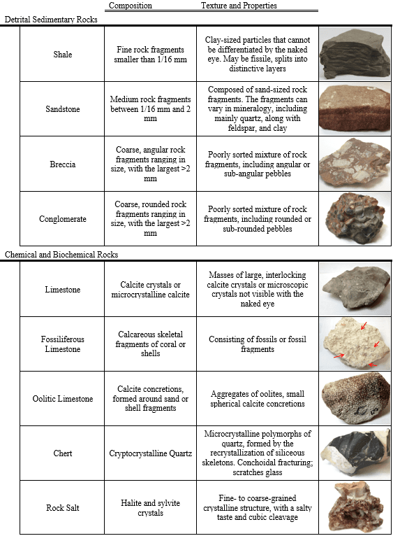 Types of sedimentary rocks, Overview of Sedimentary Rocks – Laboratory Manual for Earth Science