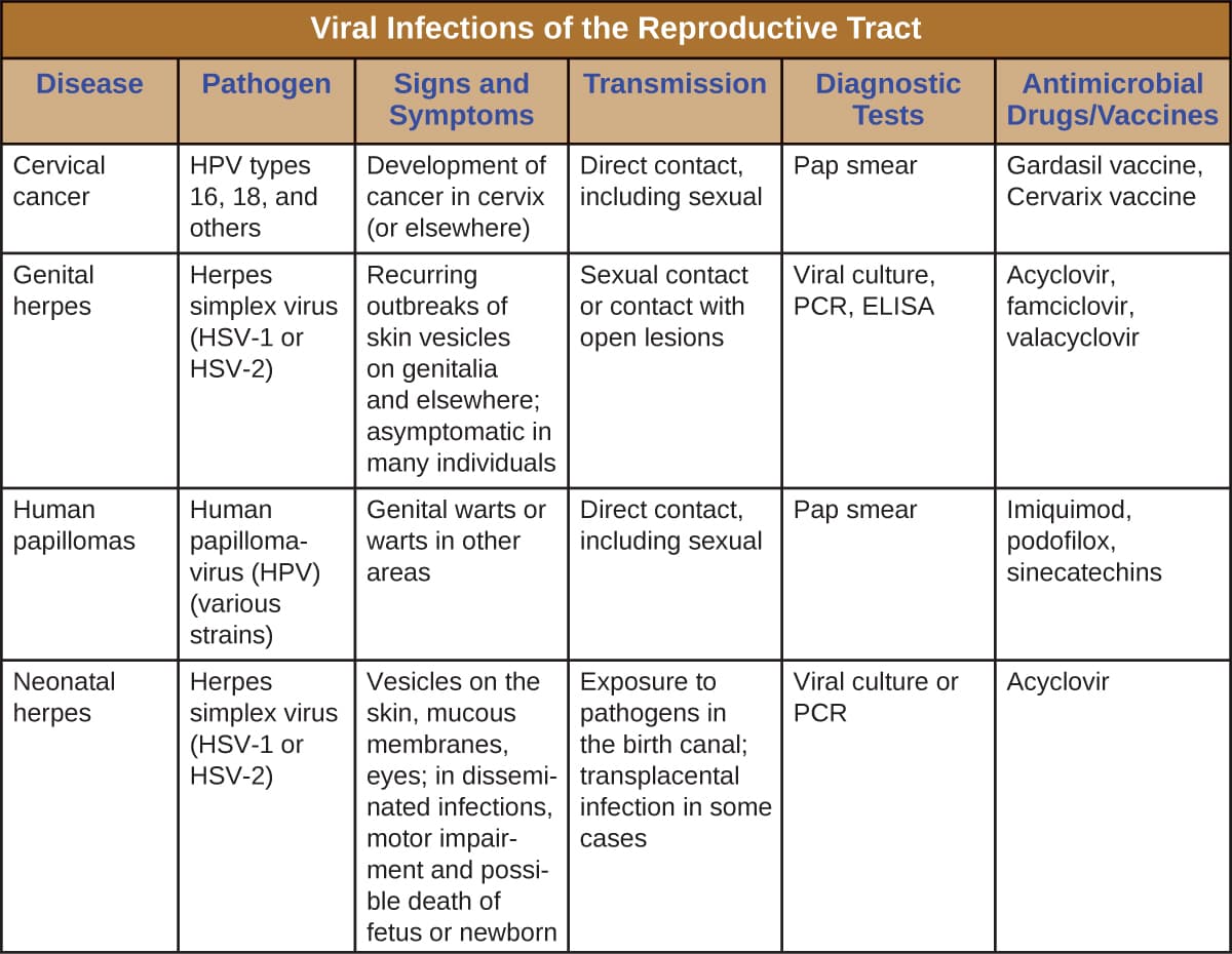 Types of sexually transmitted infections, Viral Infections of the Reproductive System · Microbiology