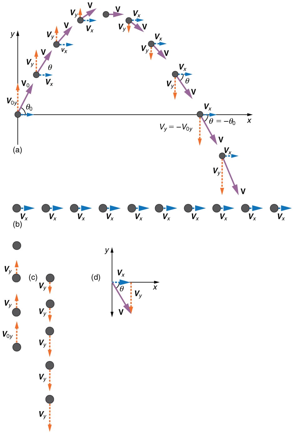 Types of translation motion, Projectile Motion · Physics