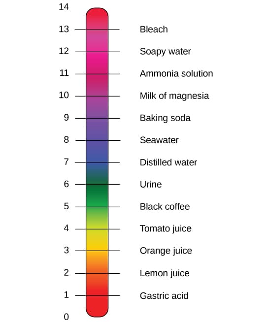 Understanding pH measurement, Water · Concepts of Biology