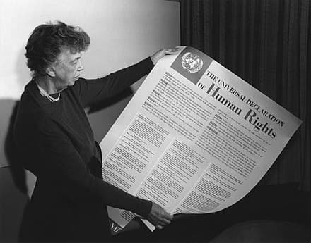 Universal Declaration of Human Rights and Economic Rights, Universal Declaration of Human Rights - Wikiquote
