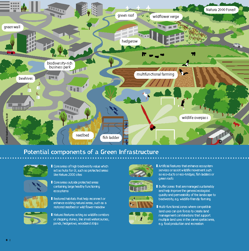 Urban planning fundamentals, Potential components of a Green Infrastructure