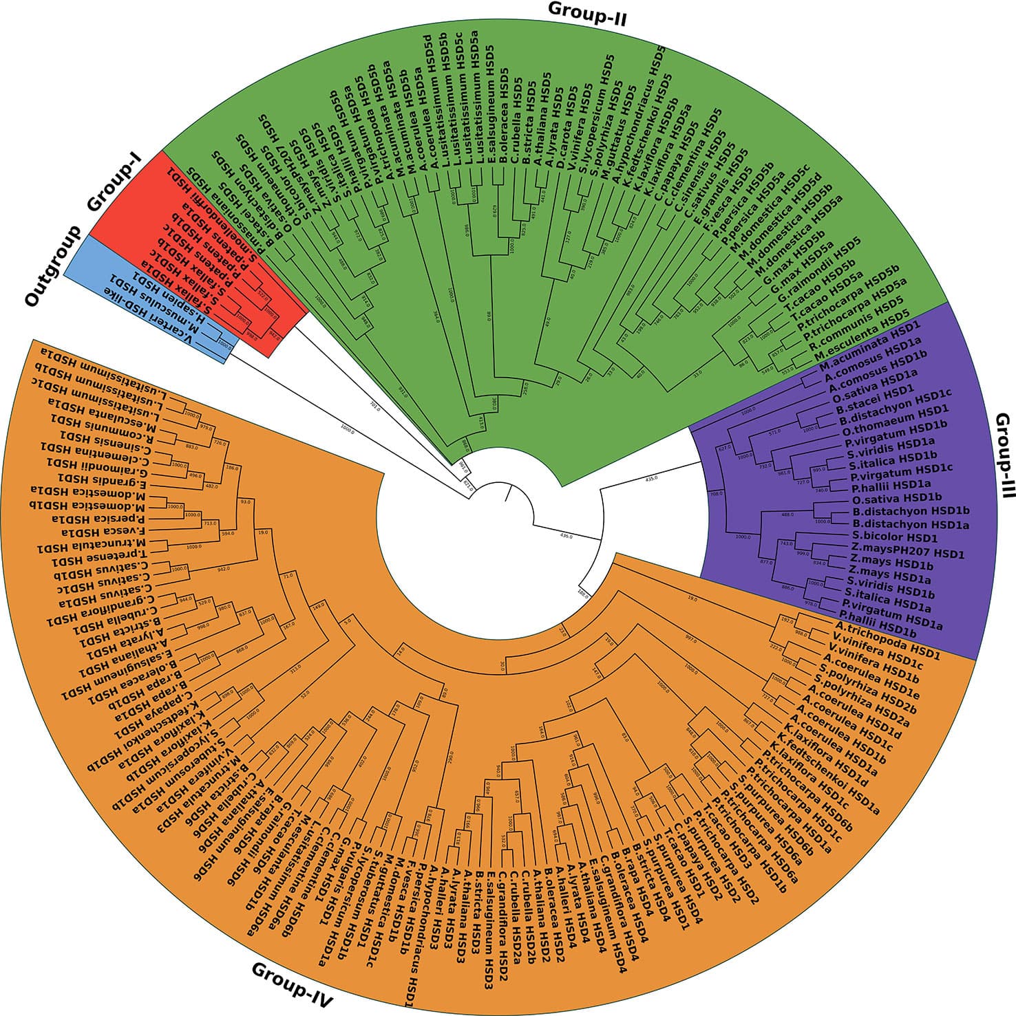 Variation across species, Frontiers | Genome-wide analysis revealed the stepwise origin and functional diversification of ...