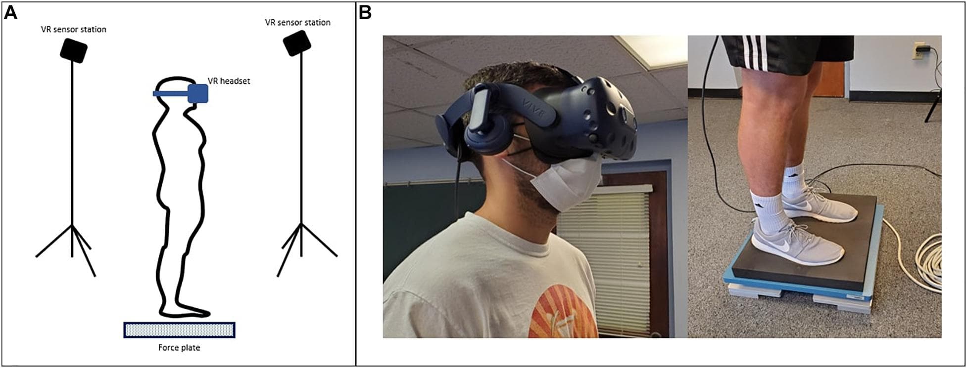 Visual System, Frontiers | Proof-of-Concept of the Virtual Reality Comprehensive Balance Assessment and ...