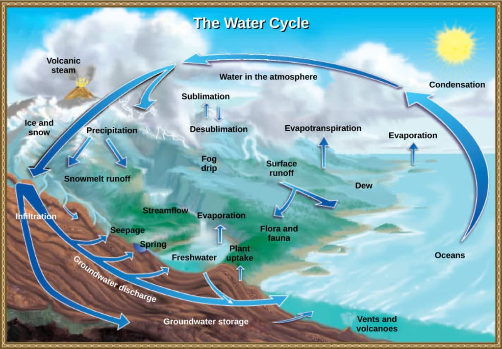 Water Cycle Processes, The Hydrologic Cycle | Biology for Majors II