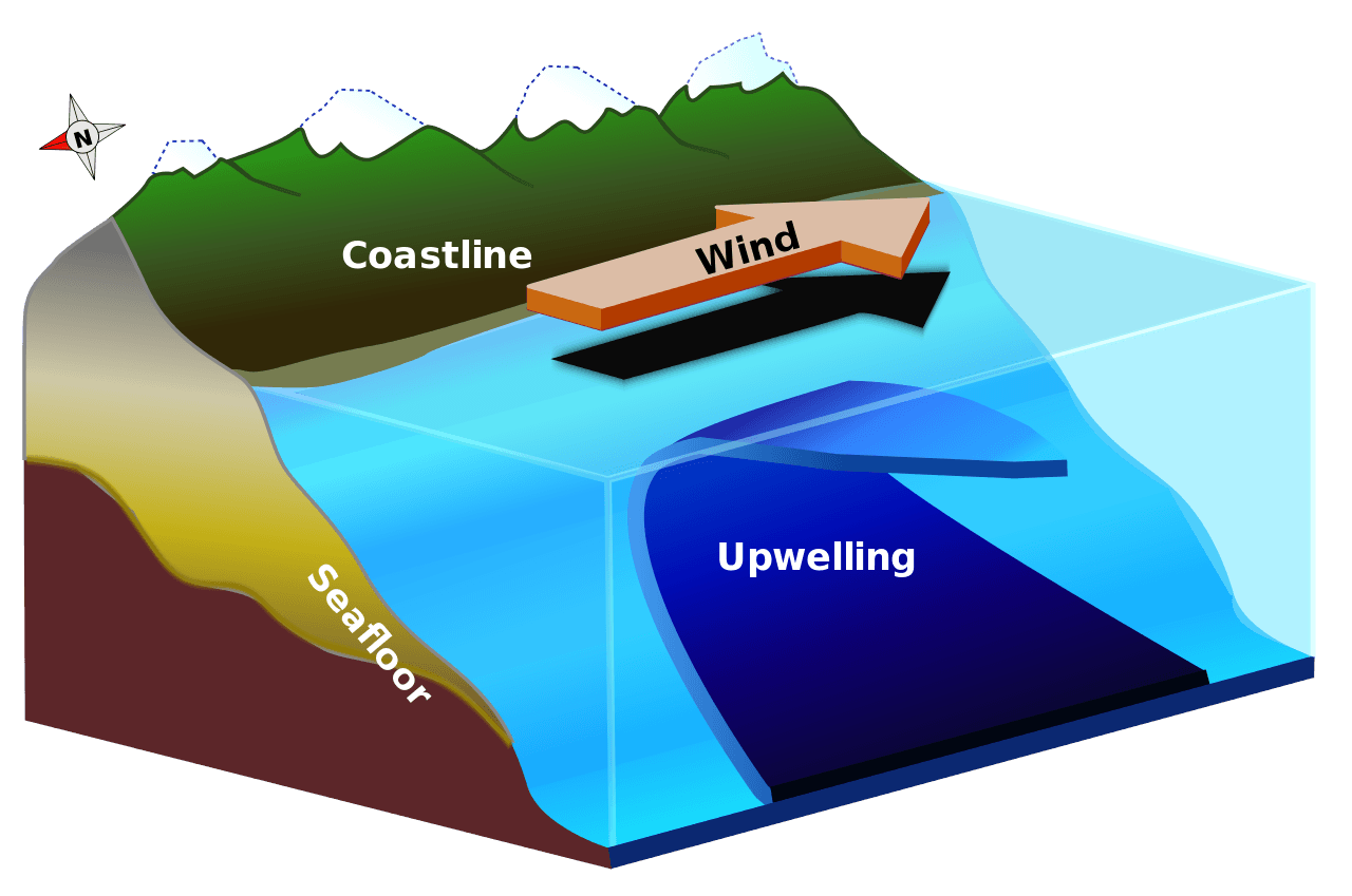 Wind-Driven Circulation and Ekman Transport, 9.5 Currents, Upwelling and Downwelling – Introduction to Oceanography