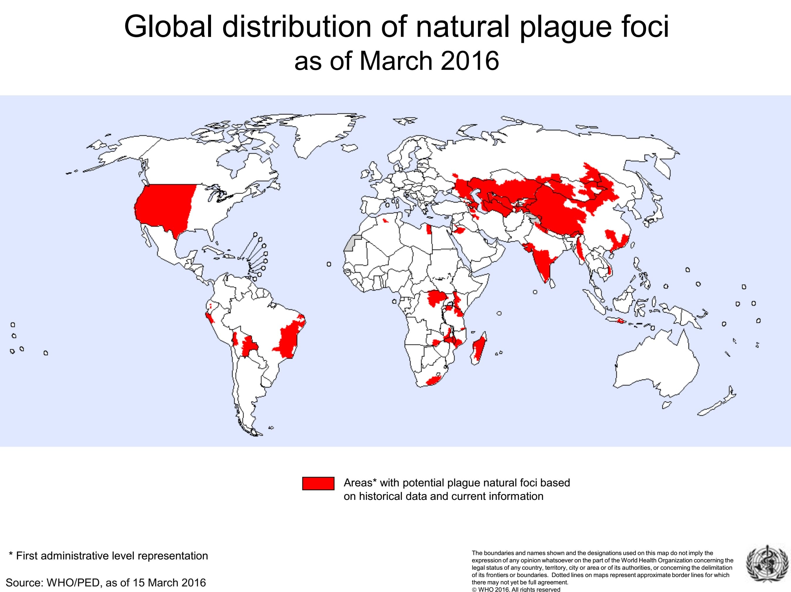 Pathogen and transmission of Black Death, Yersinia pestis infection epidemiology and demographics - wikidoc