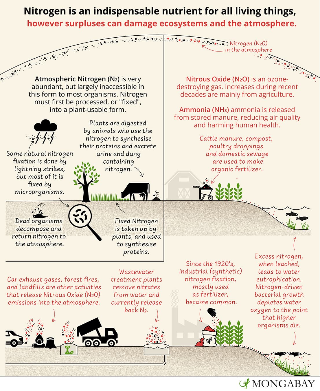 Agricultural and industrial sources, Agricultural nitrogen pollution is global threat, but circular solutions await - South Africa Today