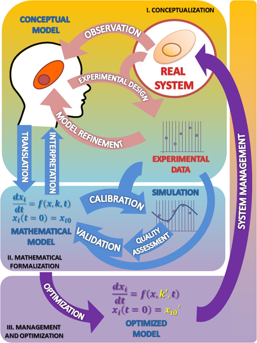 Diverse Fields and Problem-Solving, Frontiers | The (Mathematical) Modeling Process in Biosciences