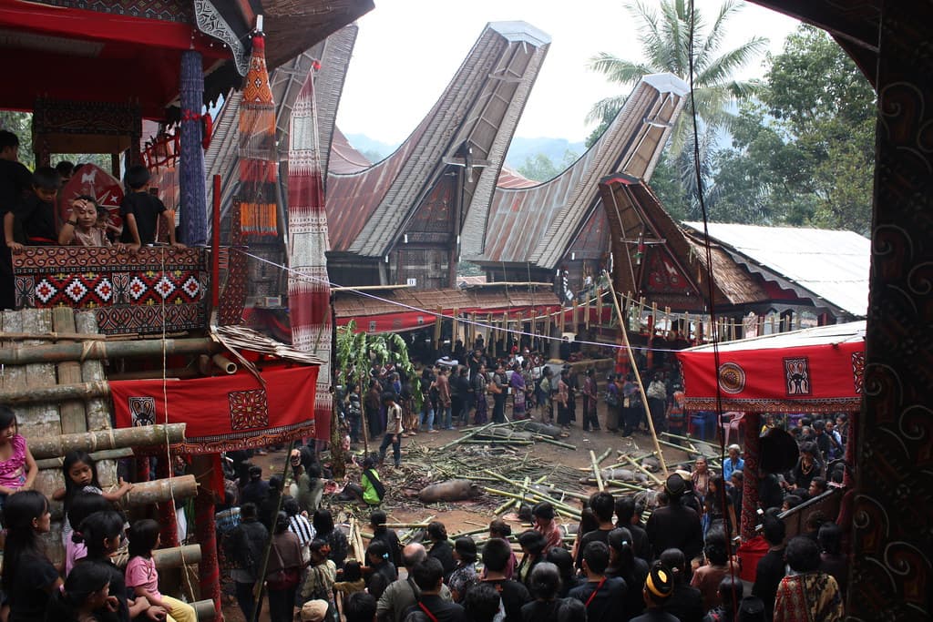 Death Rituals and Funeral Practices, Tana Toraja, Salu funeral | Tana Toraja, Salu funeral, a new… | Flickr