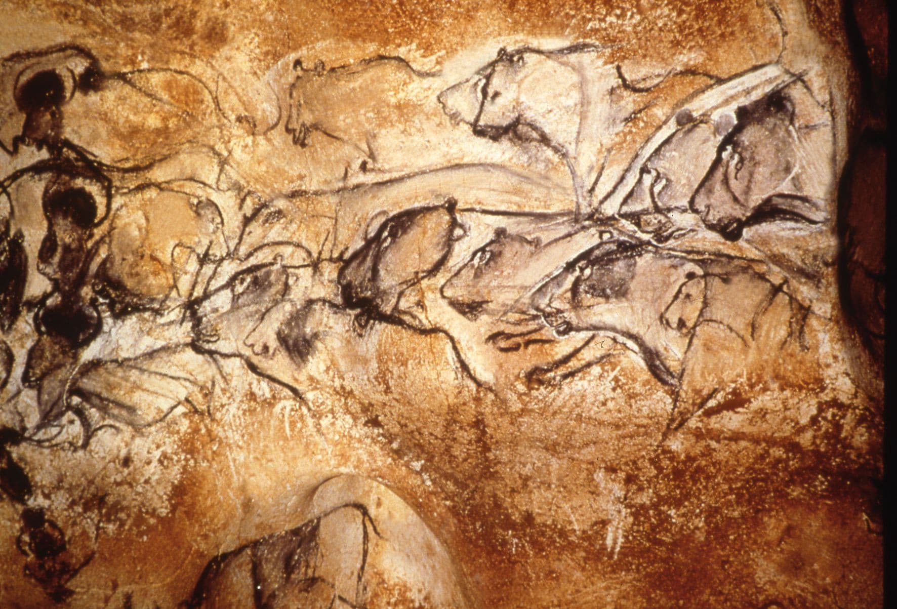 Earliest forms of communication, Paleolithic Cave Paintings Appear to be the Earliest Examples of Sequential Animation and ...