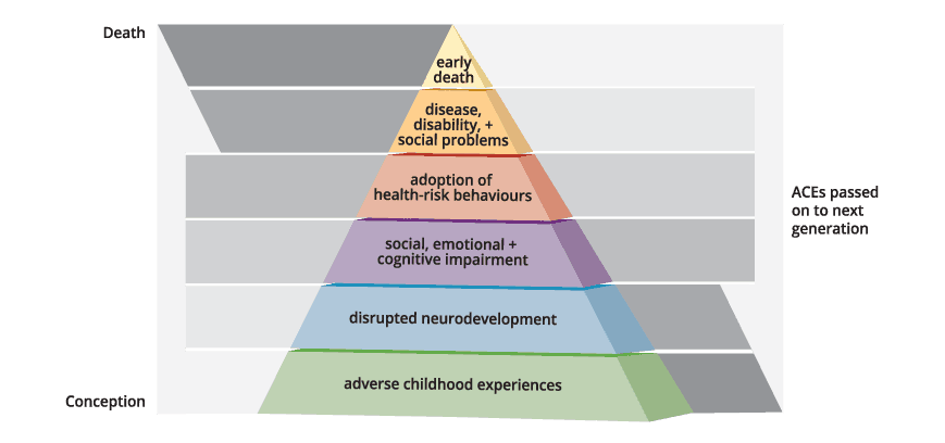 Historical factors, 1.4 Keeping students safe: reporting child protection concerns – Trauma Informed Behaviour ...