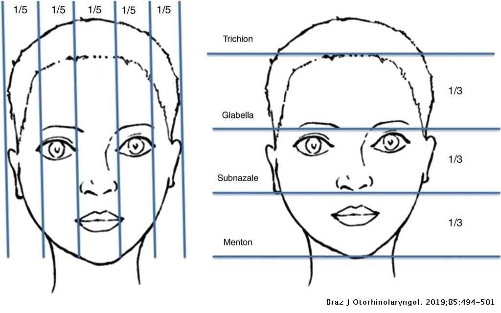 image?url=https%3A%2F%2Fstorage.googleapis.com%2Fstatic.prod.fiveable.me%2Fsearch-images%252F%2522ideal_facial_proportions_drawing_thirds_eye_widths_mouth_nose_chin_ears_alignment_diagram%2522-.jpg&w=3840&q=75