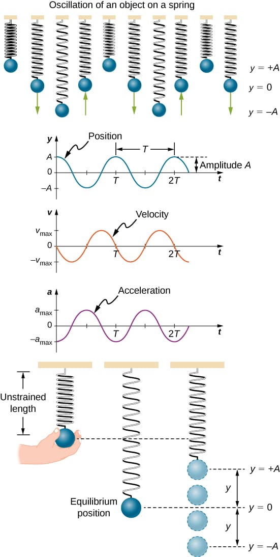 Understanding natural frequency, Simple Harmonic Motion – University Physics Volume 1