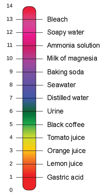 Definition and significance of pH, The pH Scale | Biology for Non-Majors I