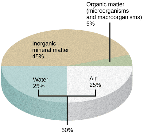 Soil Definition and Main Components, The Soil | Boundless Biology