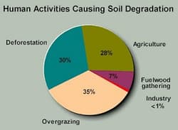Soil Erosion and Degradation, ESS Topic 5.3: Soil Degradation and conservation - AMAZING WORLD OF SCIENCE WITH MR. GREEN