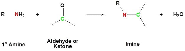 Structure and properties of amines, 21.4. Imine formation | Organic Chemistry II