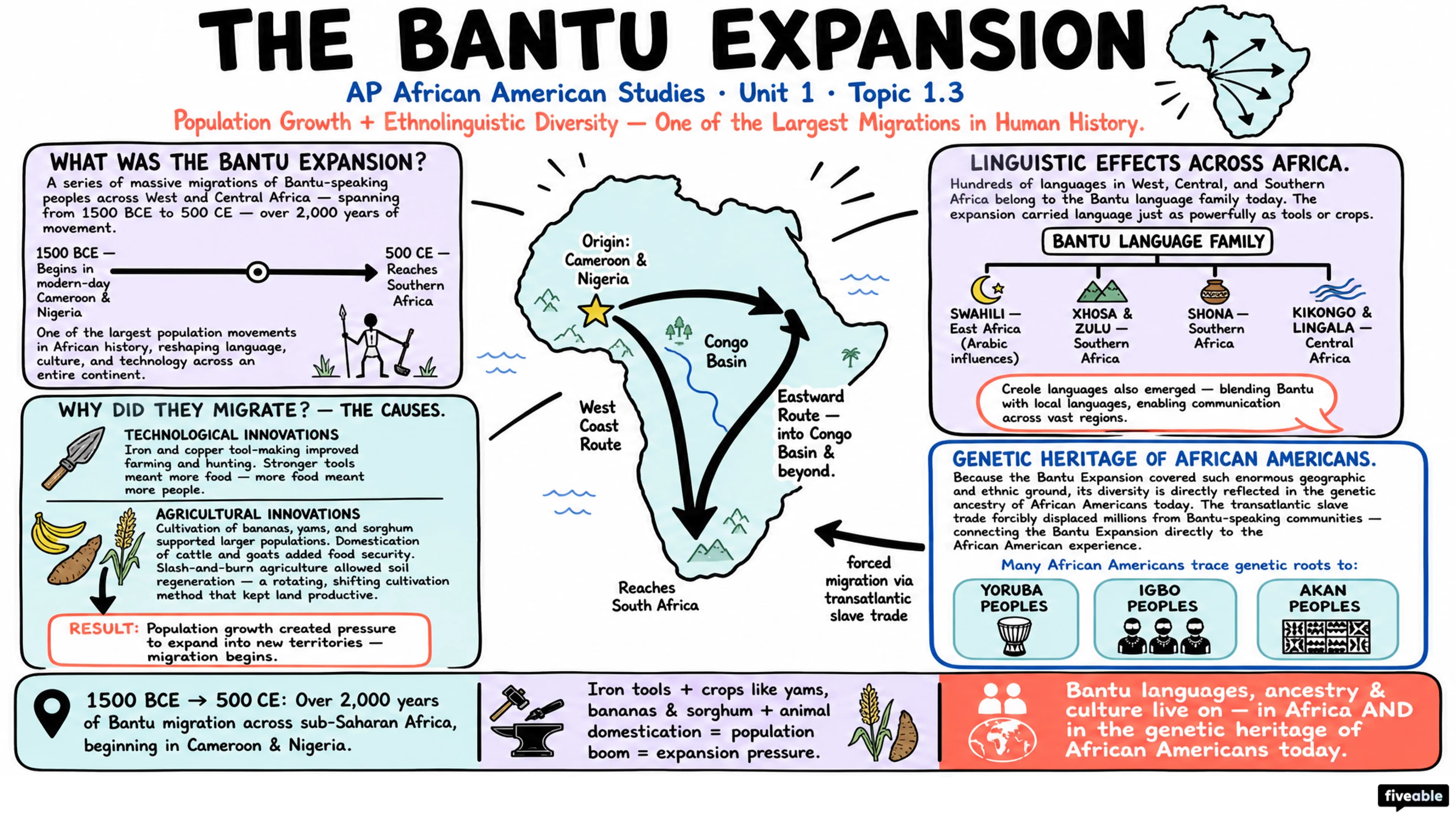 1.3 Population Growth and Ethnolinguistic Diversity - AP African American Studies - Unit 1 visual cheatsheet