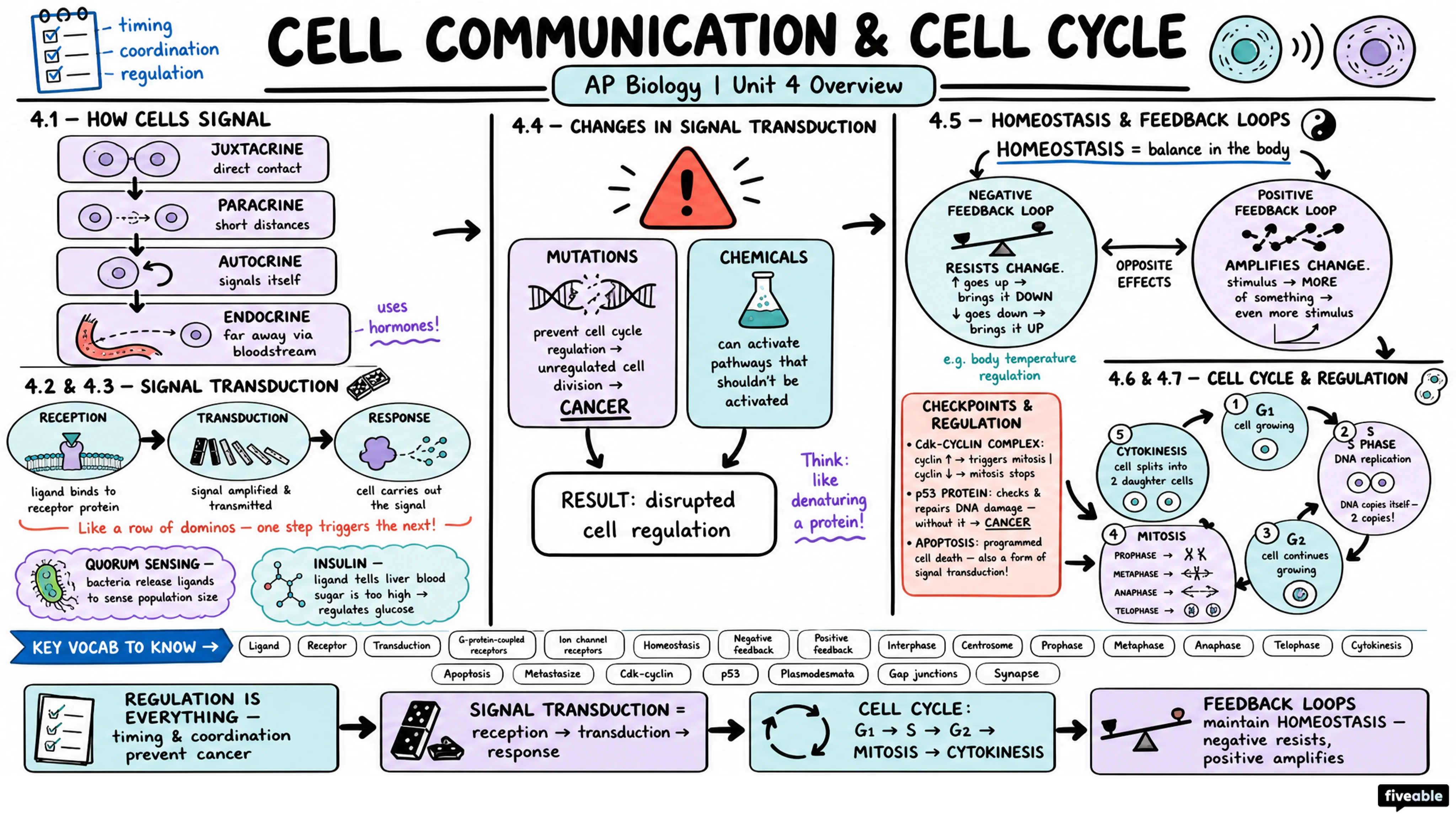 Unit 4 Overview: Cell Communication and Cell Cycle - AP Biology - Unit 4 visual cheatsheet