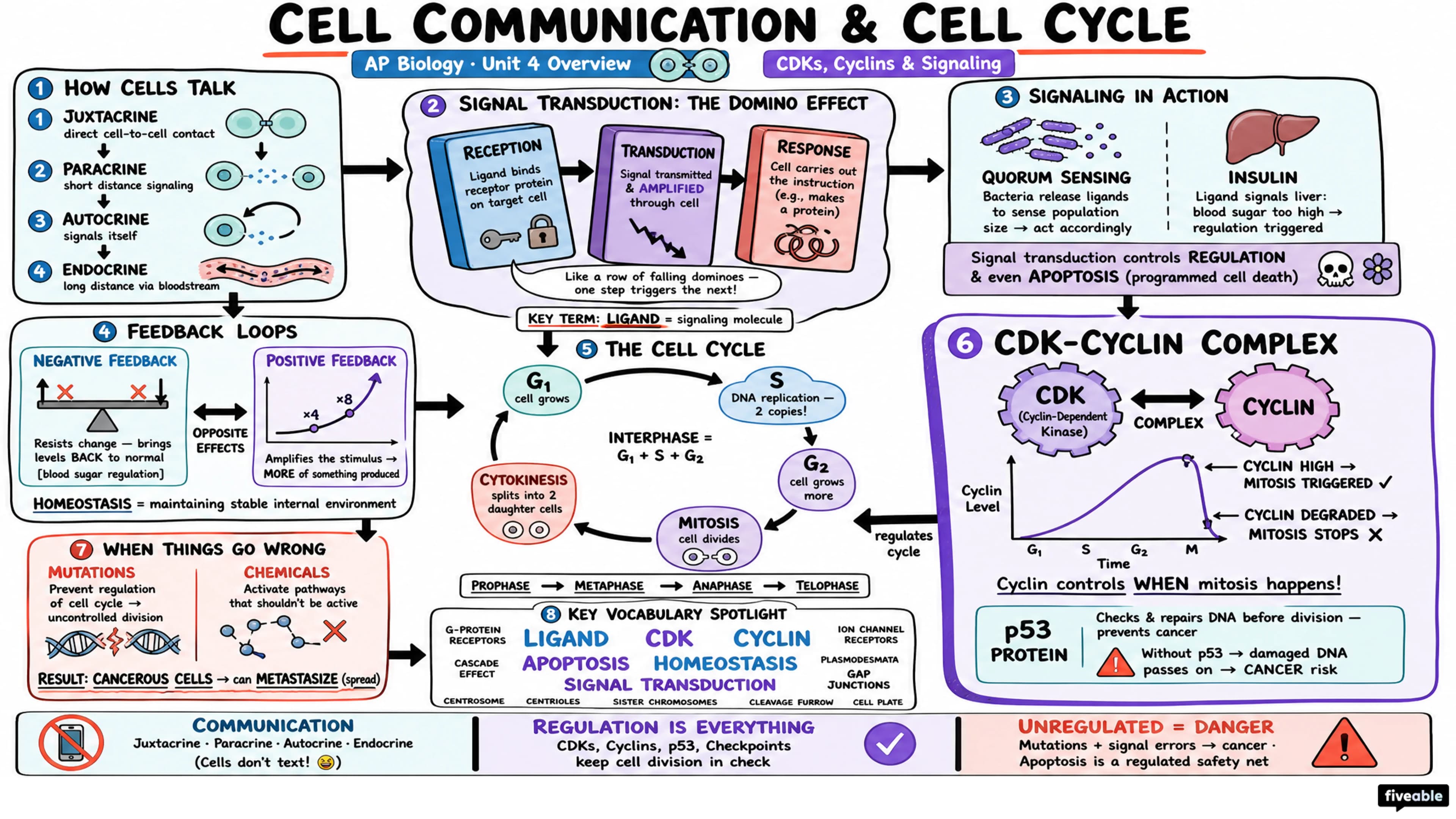 Unit 4 Overview: Cell Communication and Cell Cycle - AP Biology - Unit 4 visual cheatsheet
