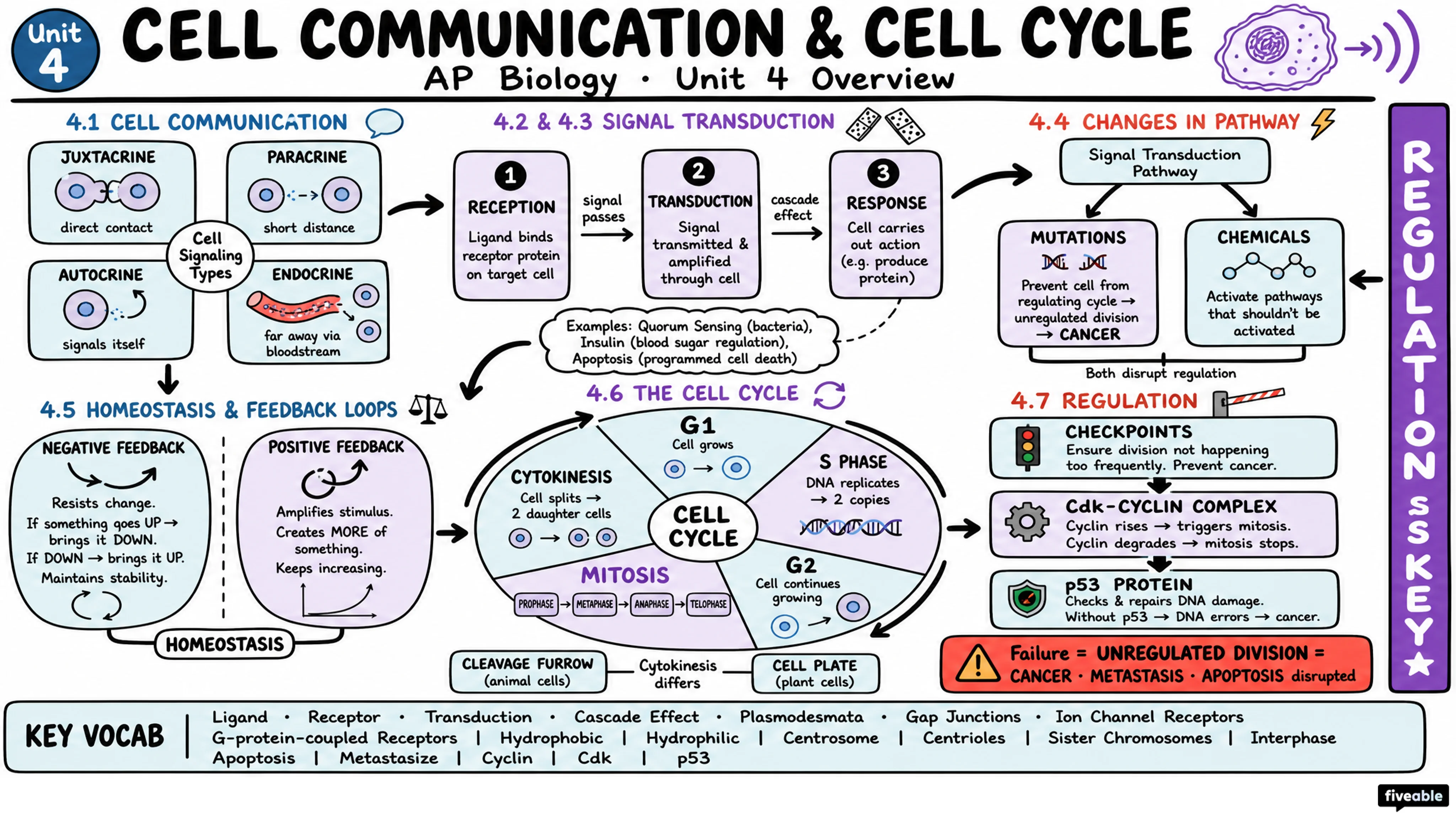 Unit 4 Overview: Cell Communication and Cell Cycle - AP Biology - Unit 4 visual cheatsheet