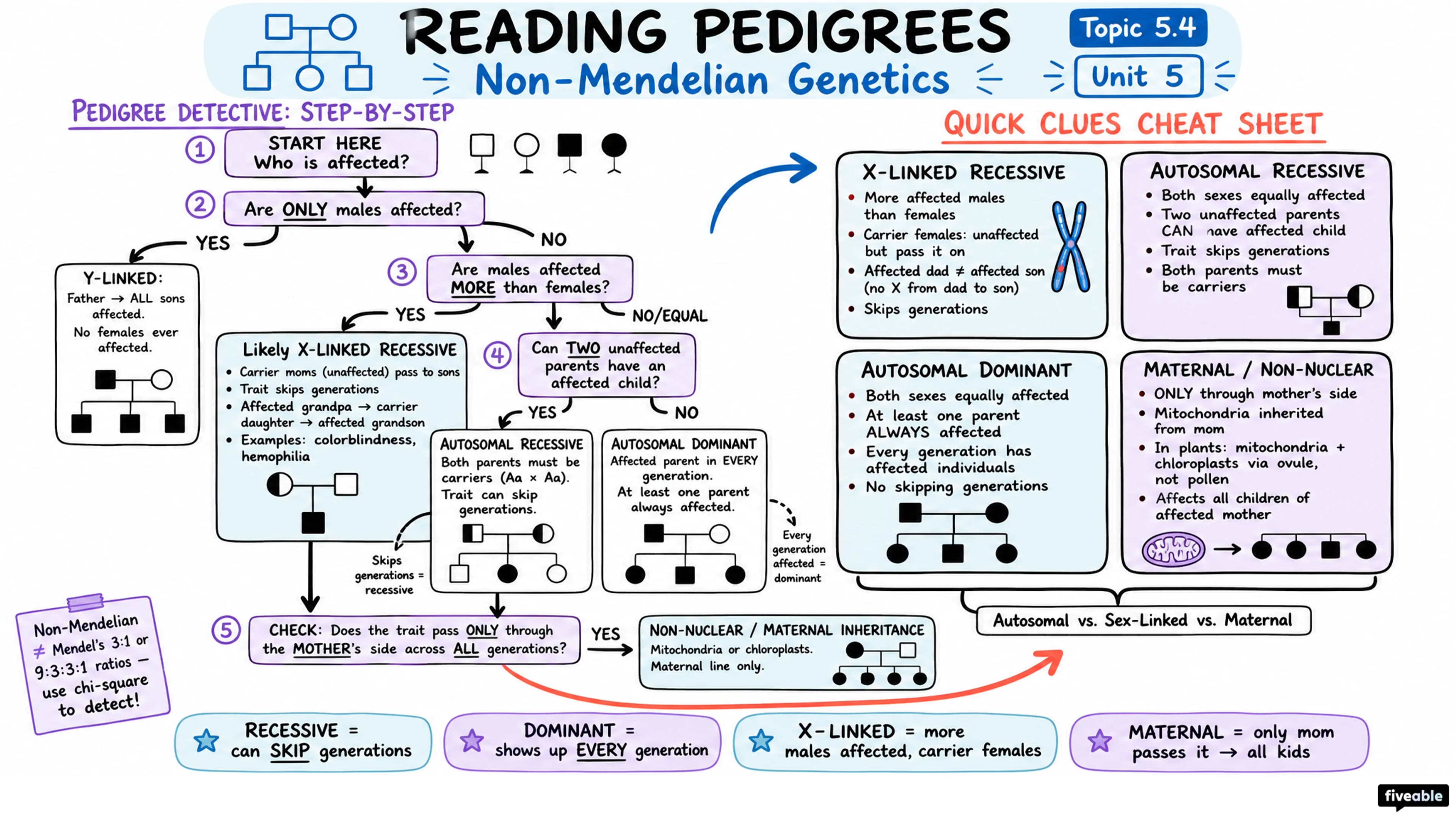 5.4 Non-Mendelian Genetics - AP Biology - Unit 5 visual cheatsheet