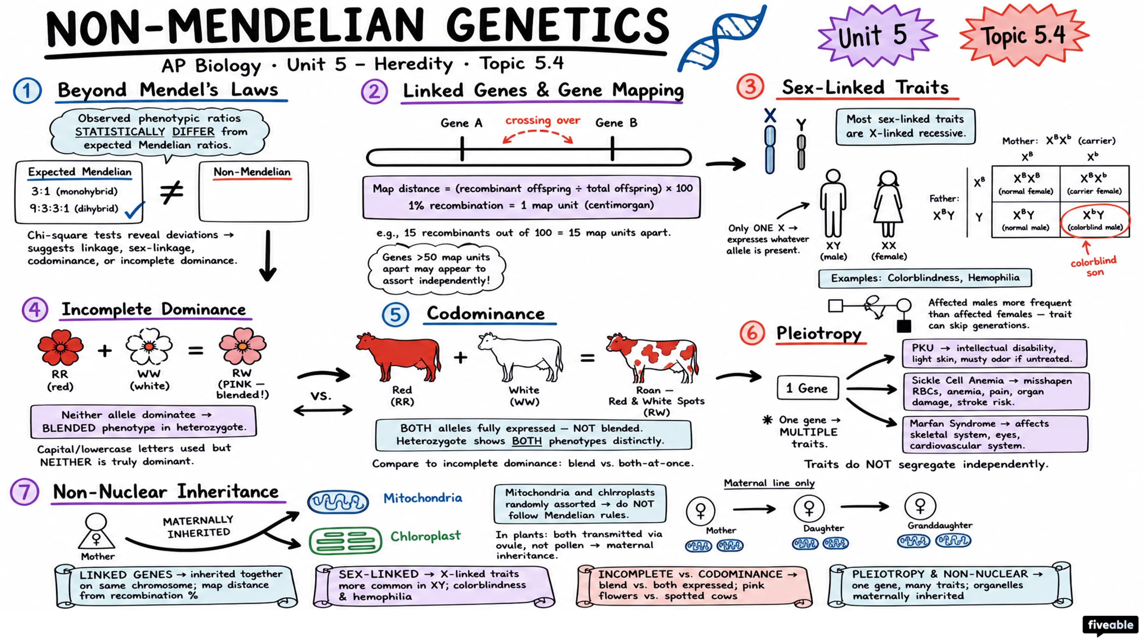 5.4 Non-Mendelian Genetics - AP Biology - Unit 5 visual cheatsheet