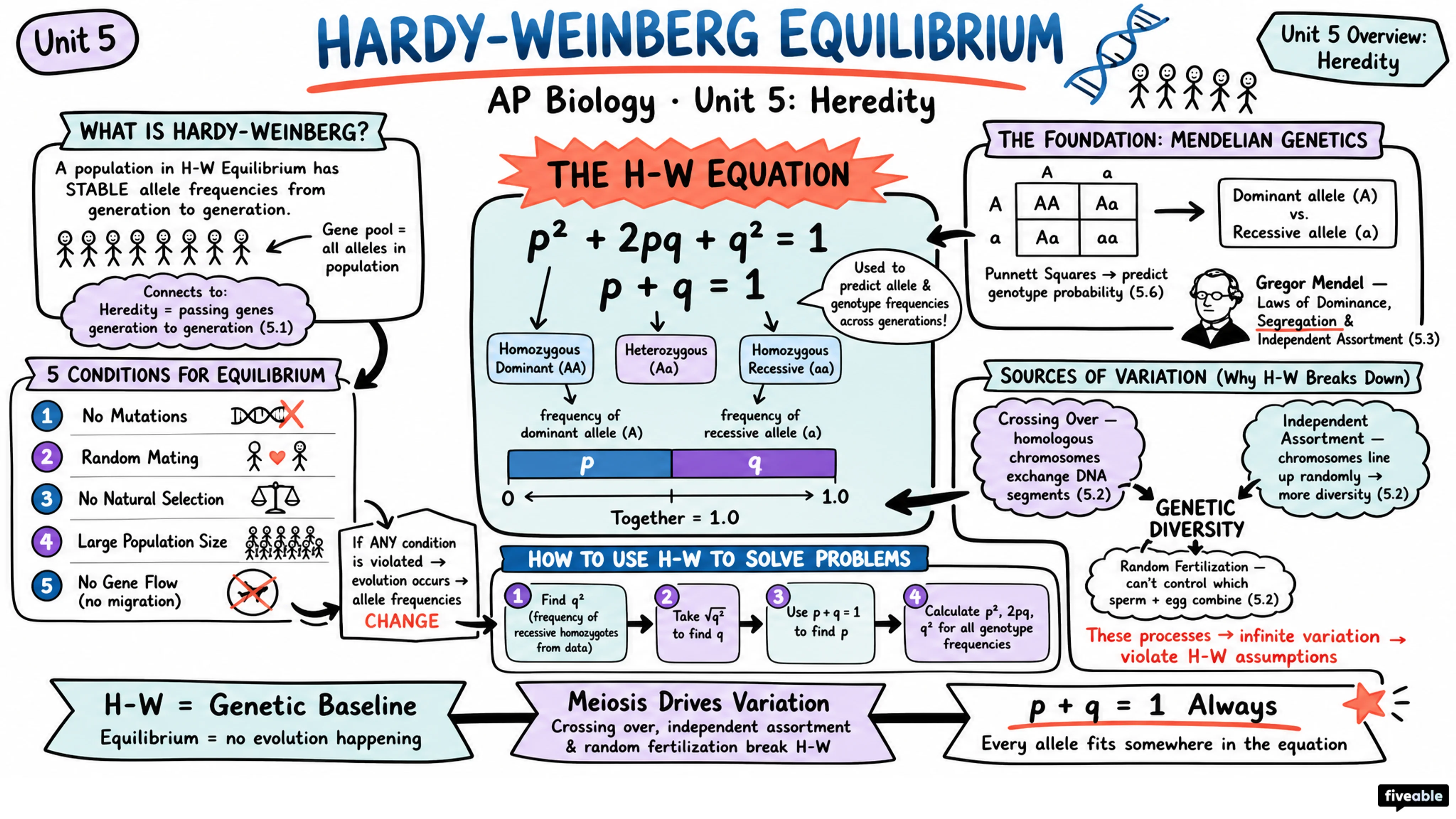 Unit 5 Overview: Heredity - AP Biology - Unit 5 visual cheatsheet
